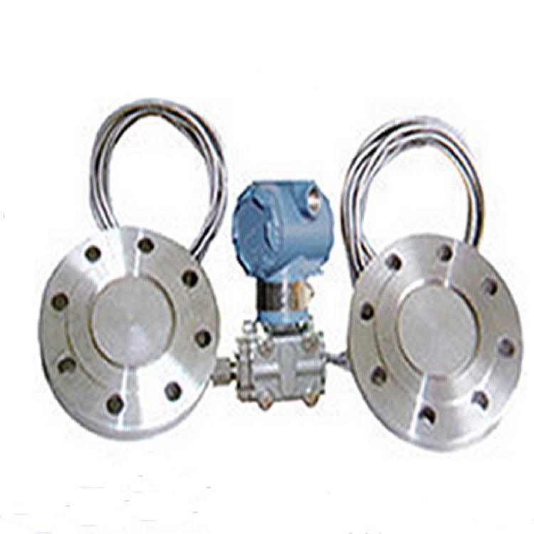 Double flange sanitary differential pressure transmitter capillary rem
